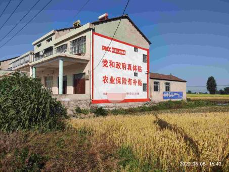 全州县墙体广告多少钱一平