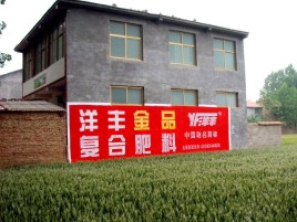全州县如何让墙体广告展现最大化效果