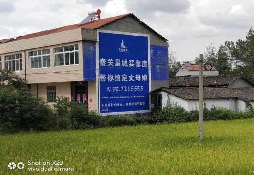 全州县决定墙体广告价格的因素有哪些？