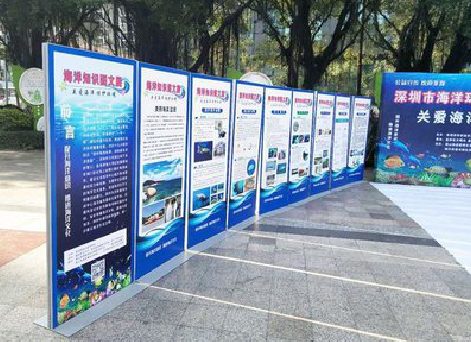 全州县KT板的种类和知识。